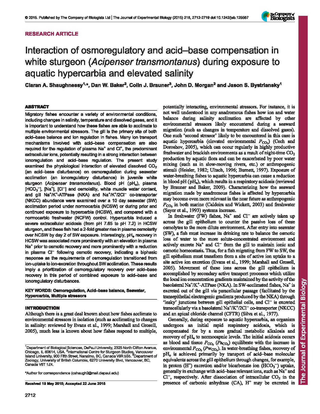Sturgion acid-base and ionoregulation