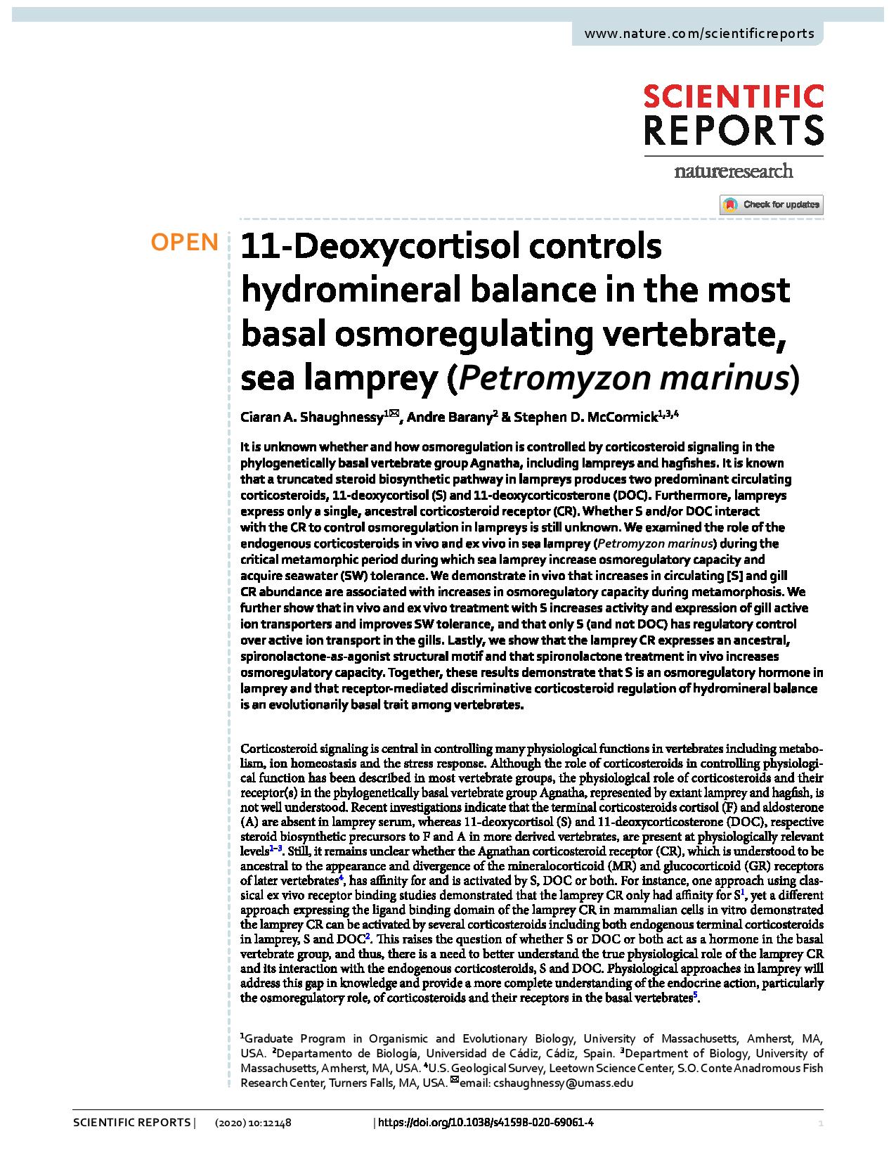 11-Deoxycortisol controls hydromineral balance in the most basal osmoregulating vertebrate, sea lamprey (<em>Petromyzon marinus</em>)