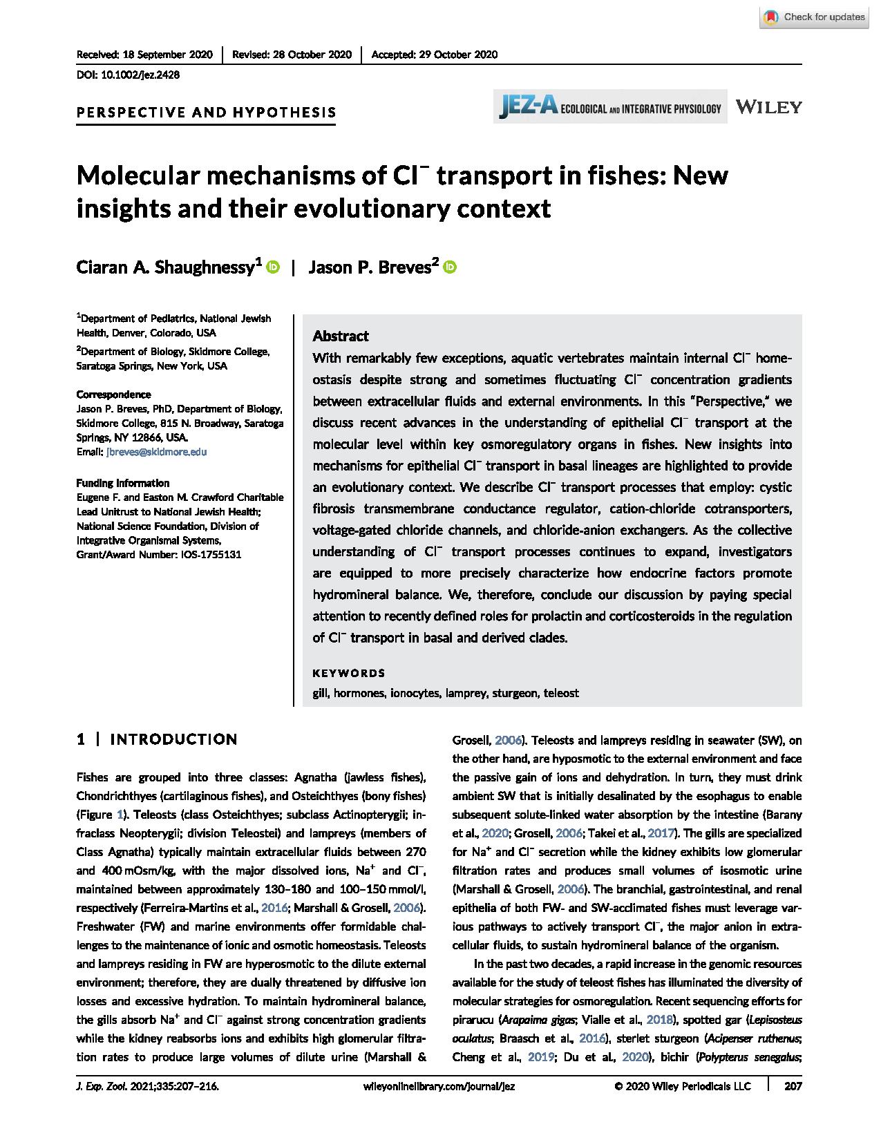 Molecular mechanisms of Cl- transport in fishes: new insights and their evolutionary context