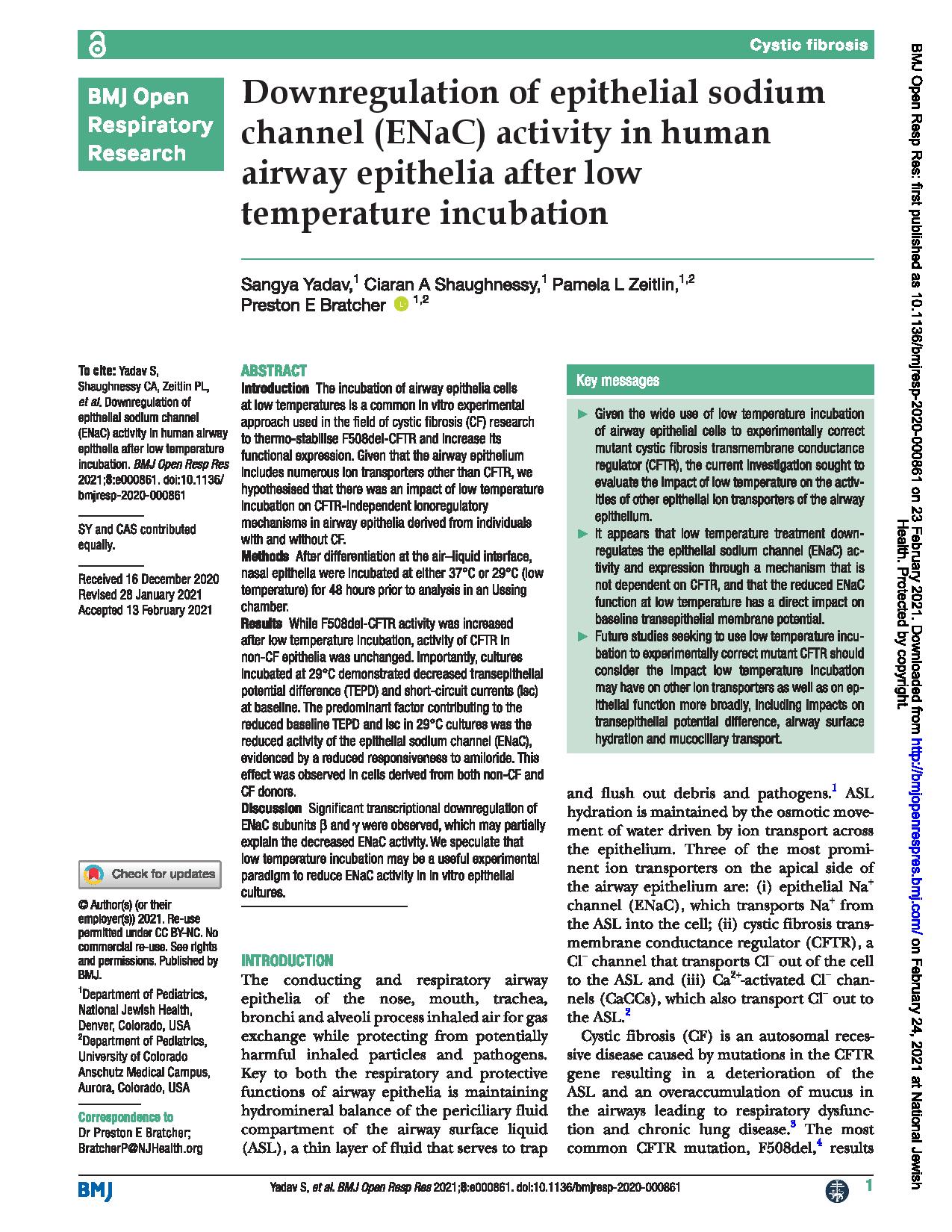 Down-regulation of the epithelial sodium channel (ENaC) in human airway epithelia in response to low temperature incubation