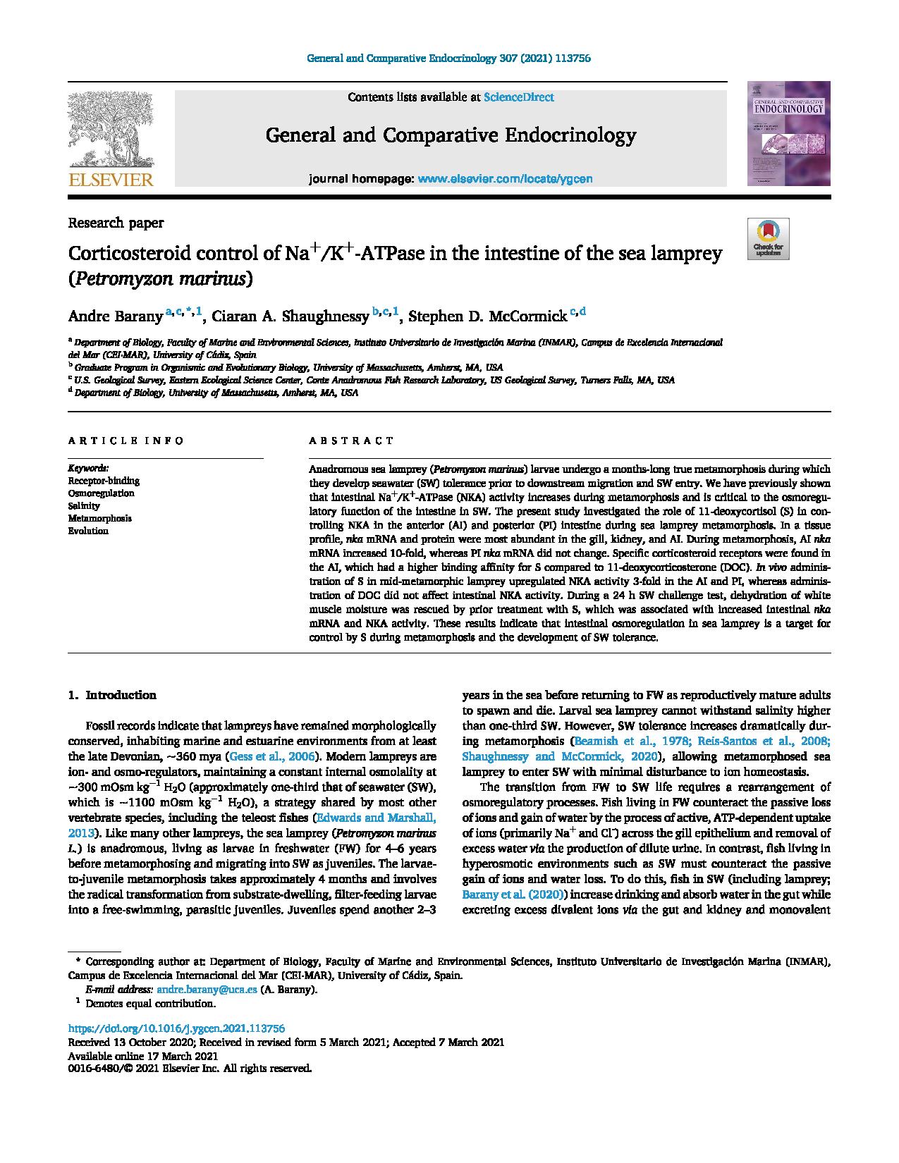 Corticosteroid control of Na+/K+-ATPase in the intestine of the sea lamprey (<em>Petromyzon marinus</em>)