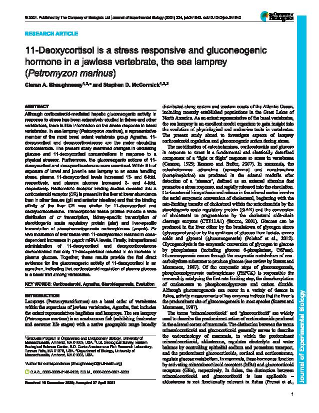 11-Deoxycortisol is a stress responsive and gluconeogenic hormone in a jawless vertebrate, the sea lamprey (<em>Petromyzon marinus</em>)