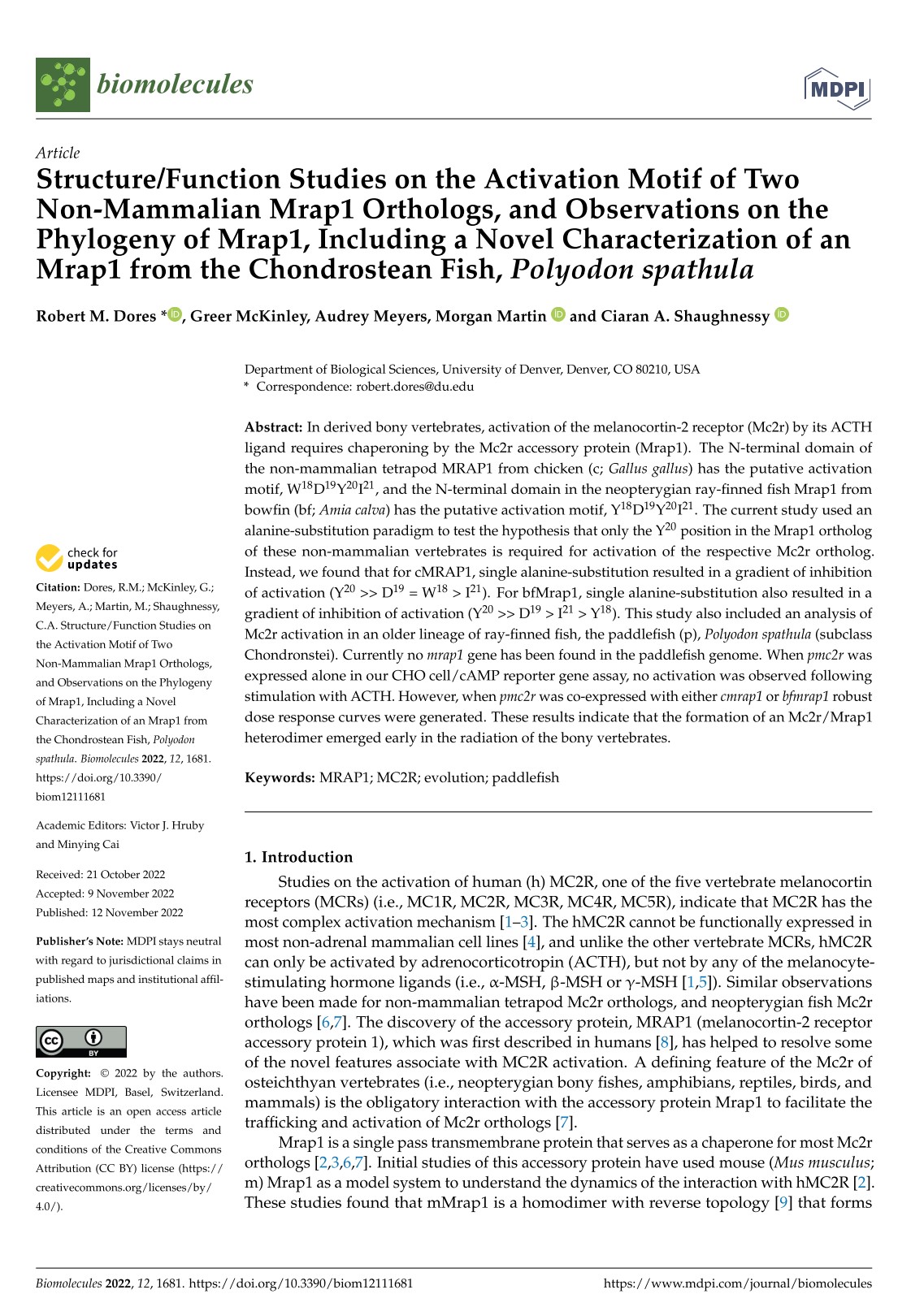 Structure/function studies on the activation motif of two non-mammalian Mrap1 orthologs, and observations on the phylogeny of Mrap1, including a novel characterization of an Mrap1 from the chondrostean fish, Polyodon spathula