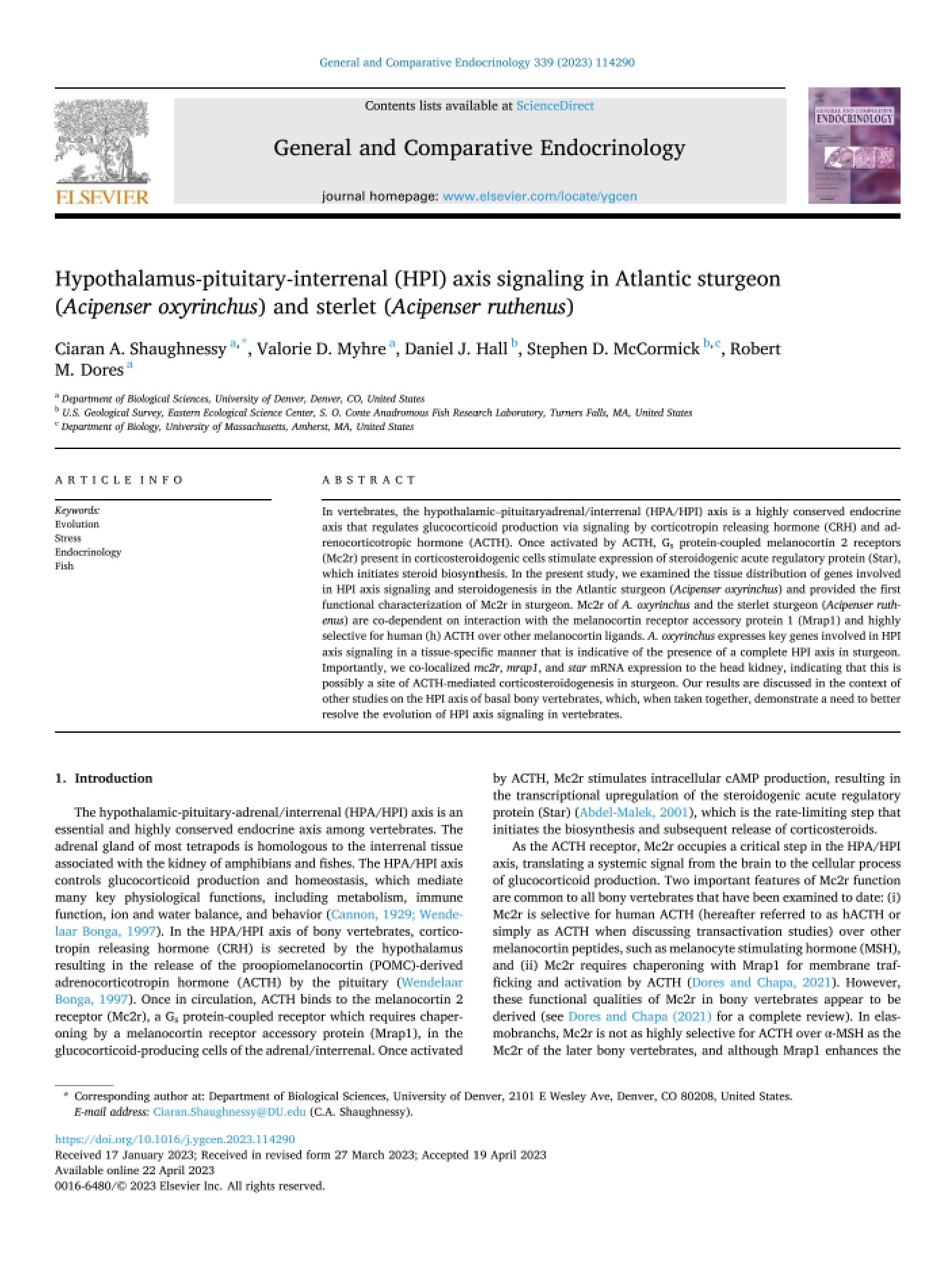Hypothalamus-pituitary-interrenal (HPI) axis signaling in Atlantic sturgeon (<em>Acipenser oxyrinchus</em>) and sterlet (<em>Acipenser ruthenus</em>)
