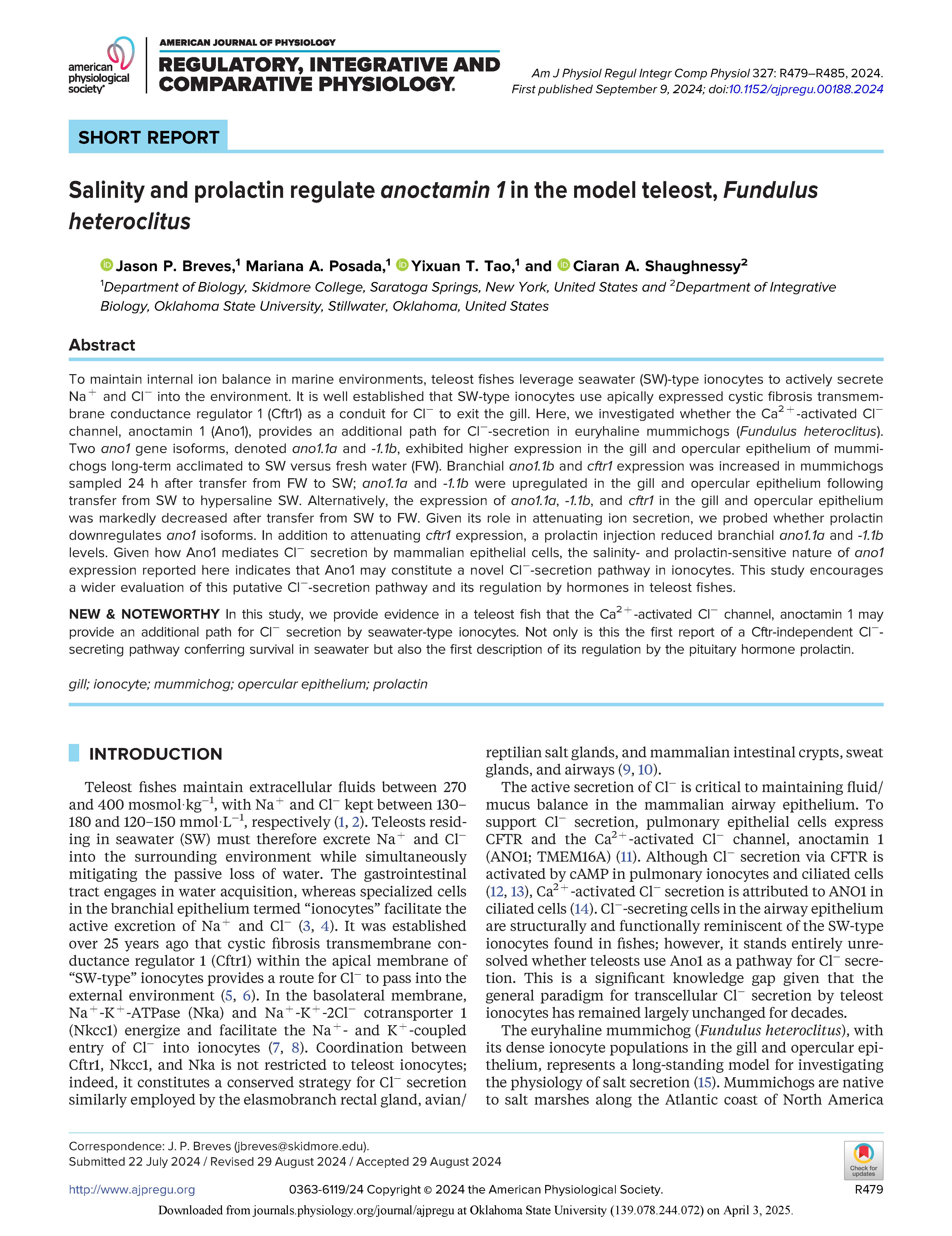 Salinity and prolactin regulate anoctamin 1 in the model teleost, <em>Fundulus heteroclitus</em>