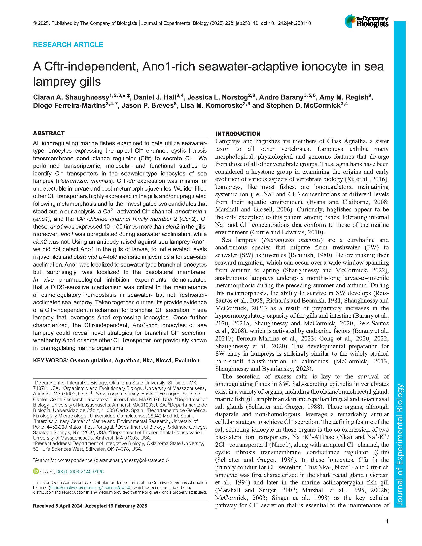 A Cftr-independent, Ano1-rich seawater-adaptive ionocyte in sea lamprey gills