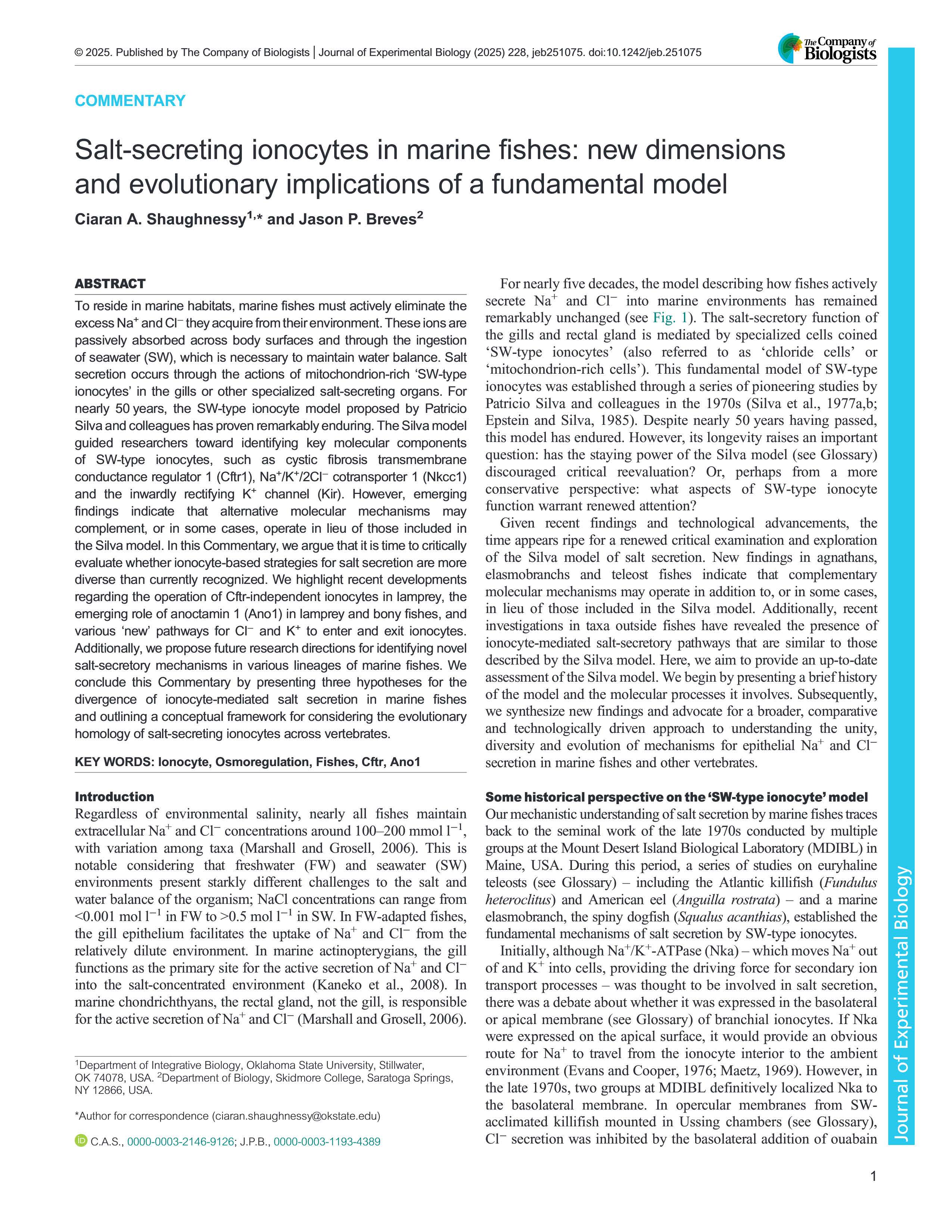 Salt-secreting ionocytes in marine fishes: new dimensions and evolutionary implications of a fundamental model