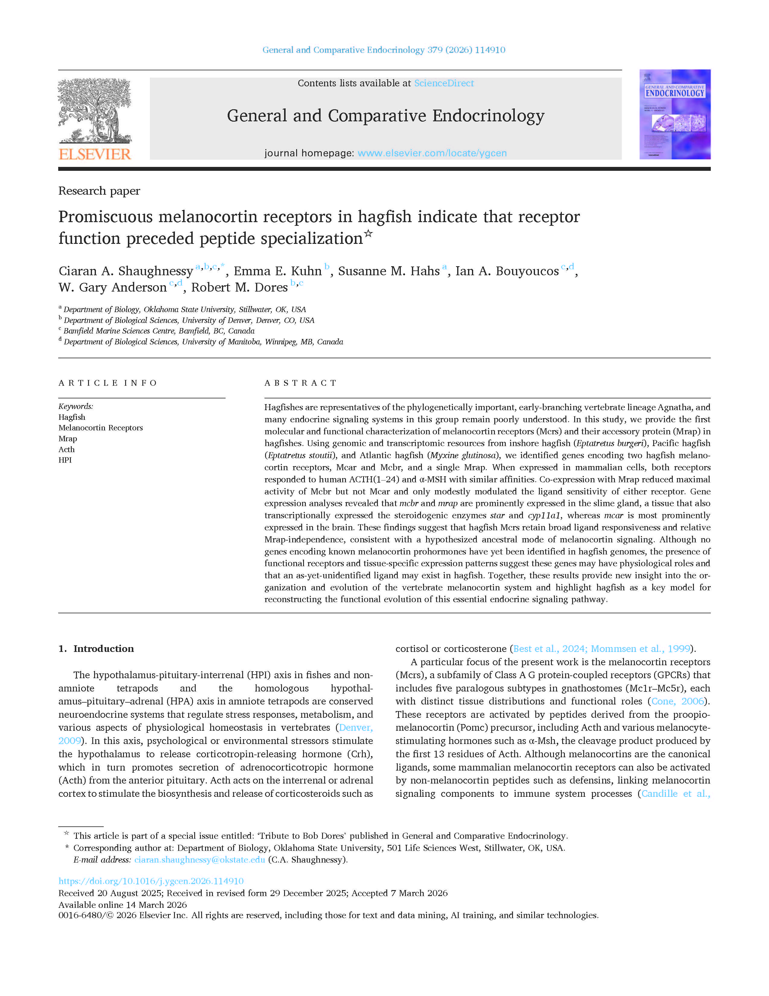Promiscuous melanocortin receptors in hagfish indicate that receptor function preceded peptide specialization